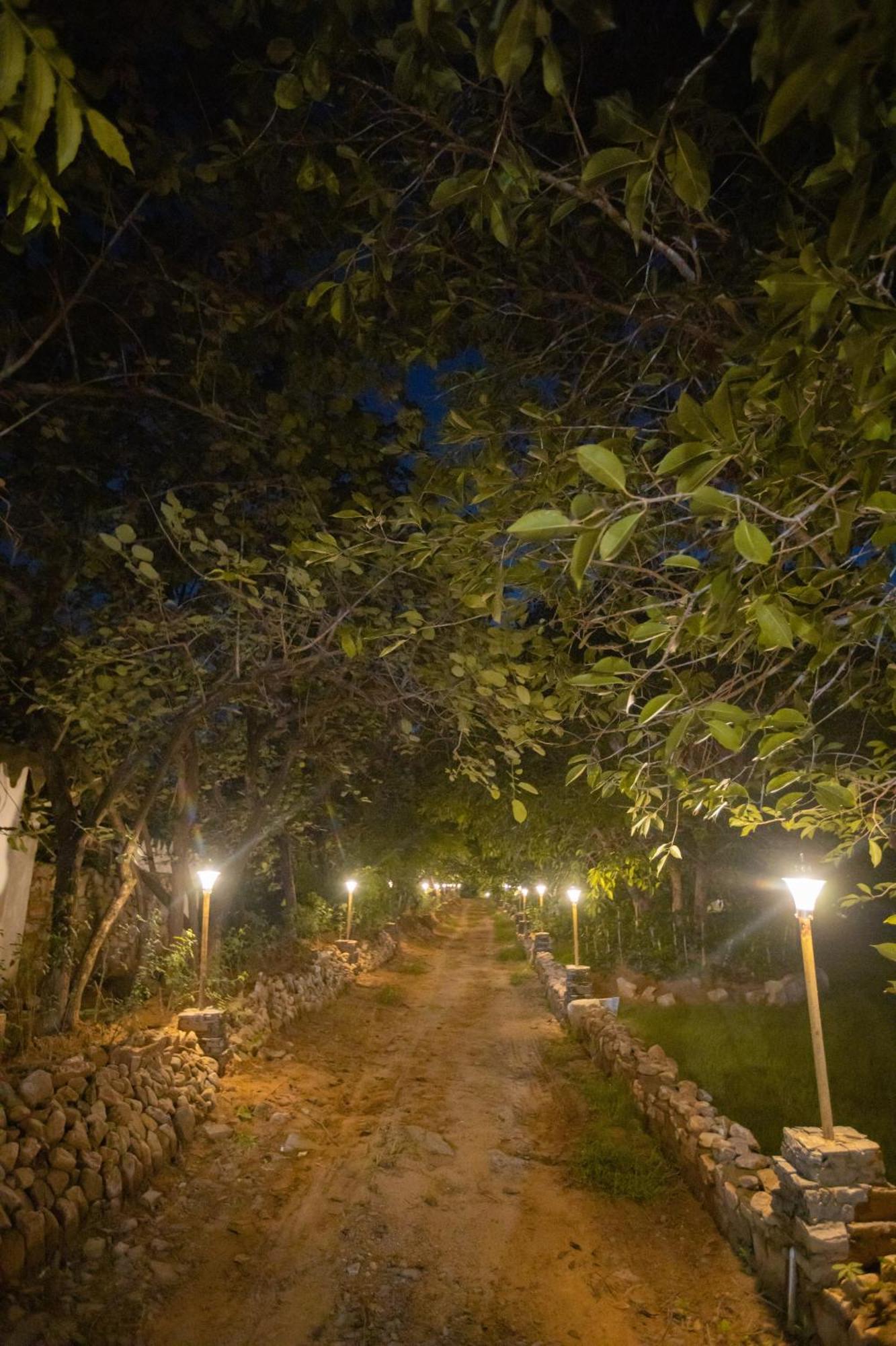 Nature Village Resort Пушкар Екстериор снимка